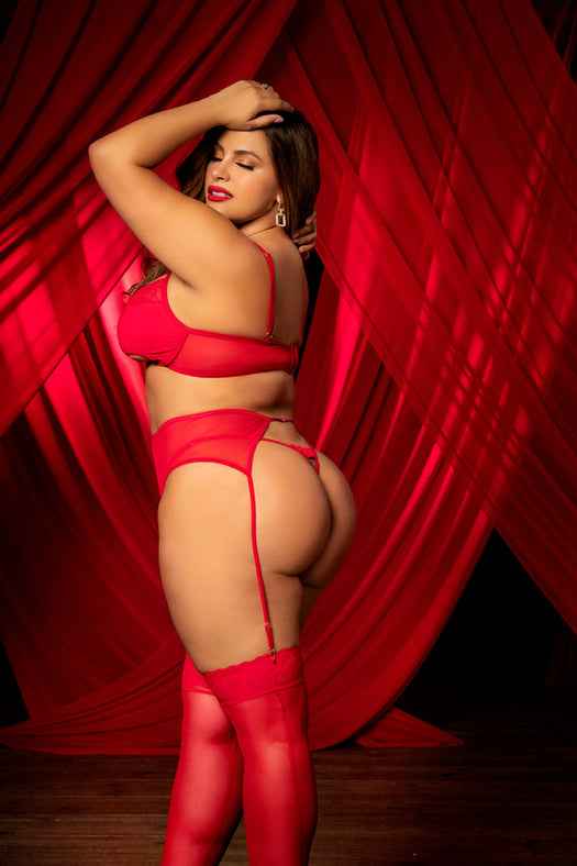 CT Lingerie plus size red lingerie set - Lace Bra & Garter